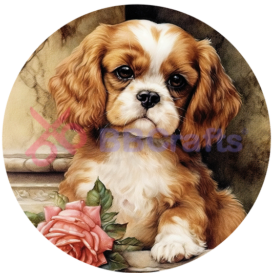 King Charles Spaniel Dog Metal Sign - Made In USA