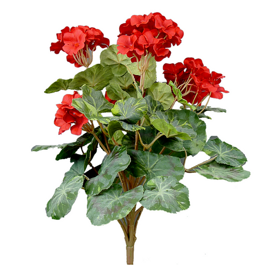 19 Inch H Red Geranium Bush X15