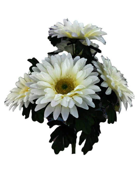 20" Satin Gerber Daisy Bush x 7 - Cream