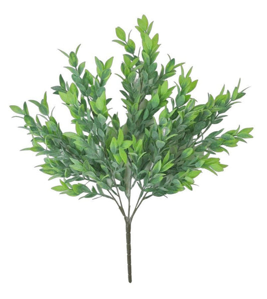 21 Inch Ruscus Bush X 5