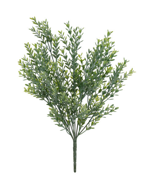 Dusty TT Green - Mini Ruscus Bush - 16 Inch L