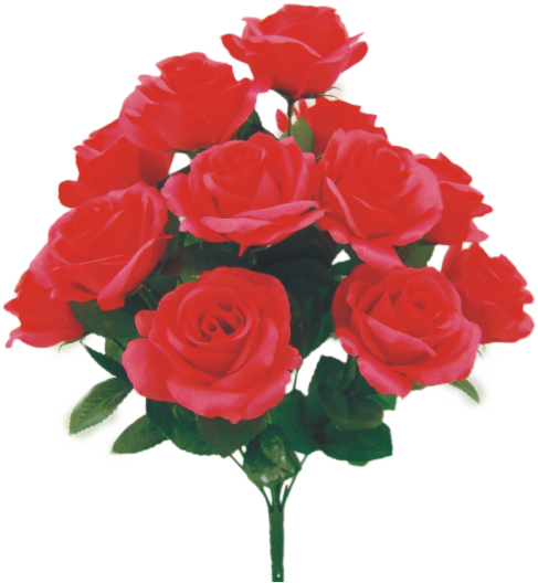 17" Color Fast Lillian Open Rose Bush x 12