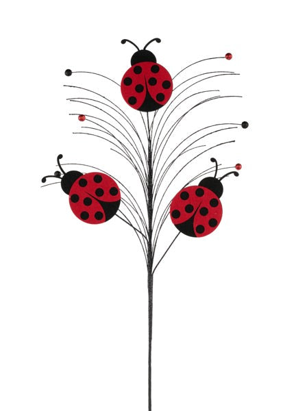 30 Inch Oah Glitter Ladybug Spray - Red/Black