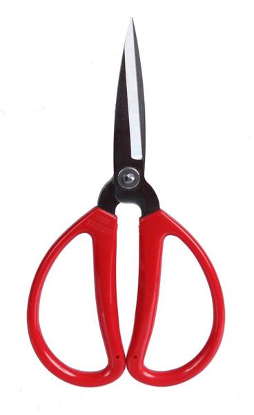 7.75 Inch L - Scissors - Red Handle