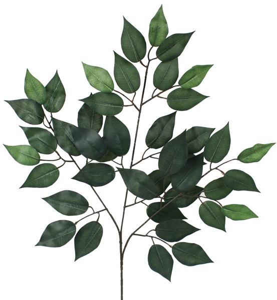 23 Inch L Ficus Spray - TT Green